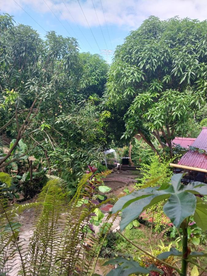 Mi Refugio Tayrona Santa Marta (Magdalena) Exterior photo